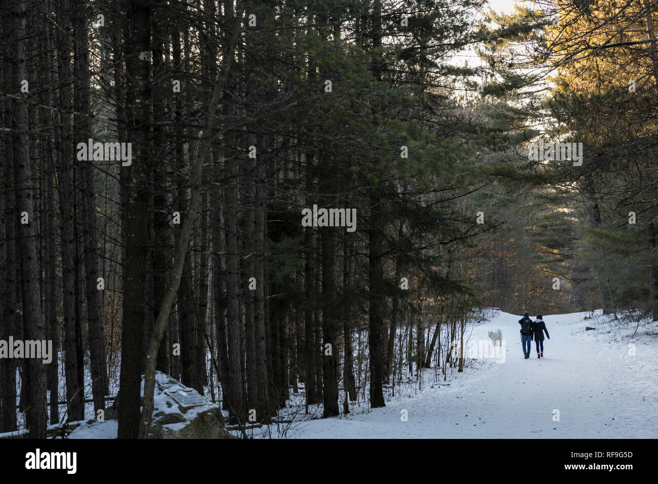 Couple en train de marcher sur un sentier de forêt couverte de neige Banque D'Images