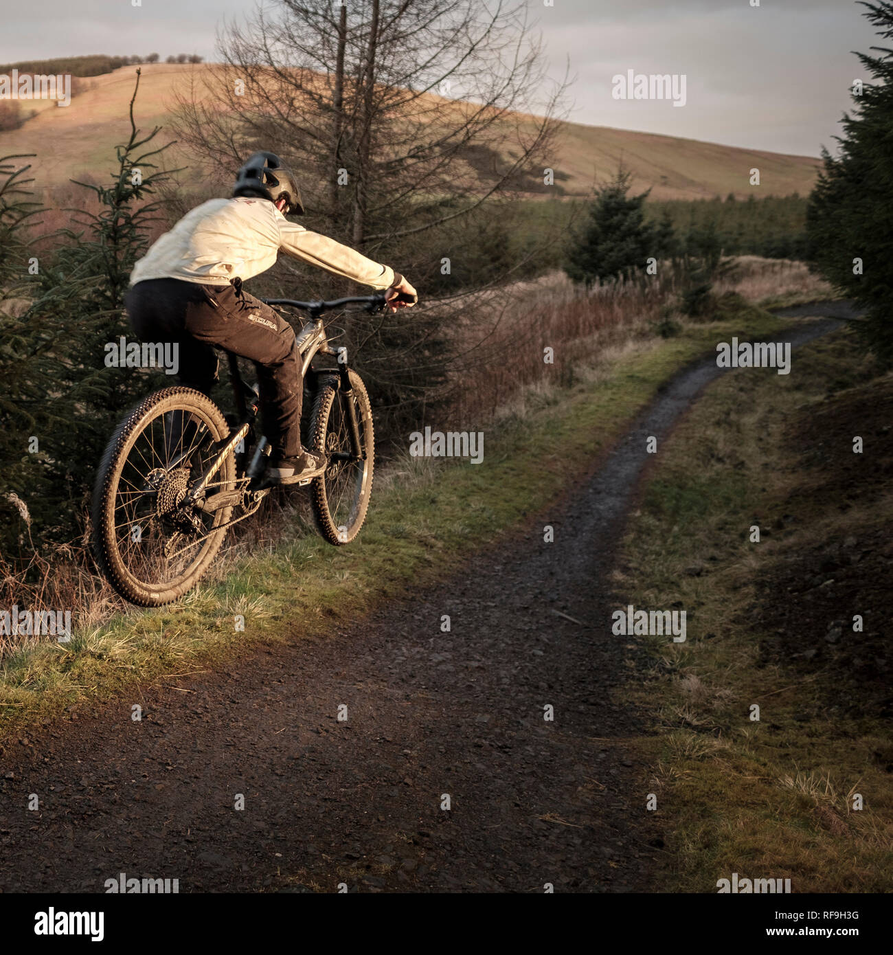 Un vélo de montagne chez les adolescentes est capturé en plein ciel, équitation le Carron Valley Trails au nord de Glasgow. Banque D'Images