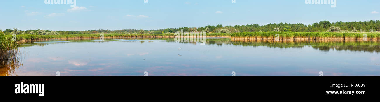 Pryschukove d'été rouge brun foncé avec le lac d'iode un effet thérapeutique grâce à la haute teneur en iode (région de Kherson, Ukraine). Banque D'Images