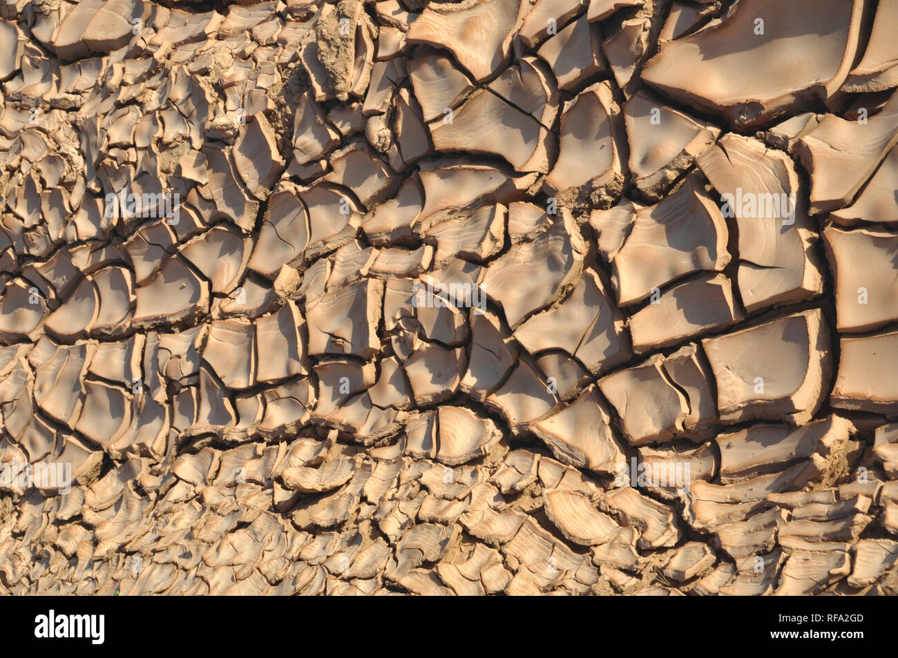 Les zones arides, assoiffées, sol desséché dans les déserts d'Oman créer les conditions de sécheresse. Banque D'Images