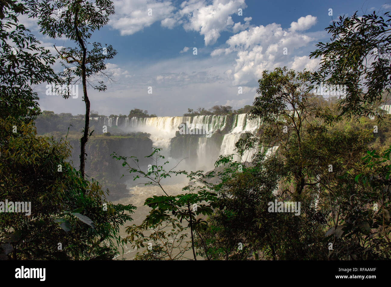 Les chutes d'Iguaçu sont les cascades de la rivière Iguazu à la frontière de l'Argentine et le Brésil. Ils sont de loin plus grandes chutes d'eau du monde Banque D'Images