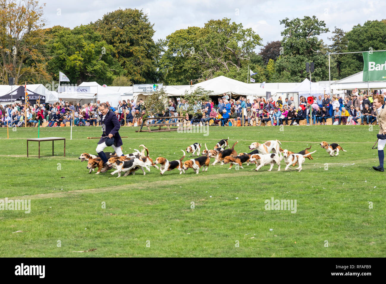 Un défilé de la meute à l'Frampton Country Fair 2018 tenue à Frampton, Cour Frampton sur Severn, Gloucestershire UK Banque D'Images