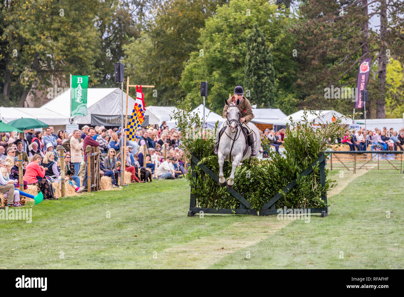 Saut dans le cadre d'un relais de chasse à l'Frampton Country Fair 2018 tenue à Frampton, Cour Frampton sur Severn, Gloucestershire UK Banque D'Images