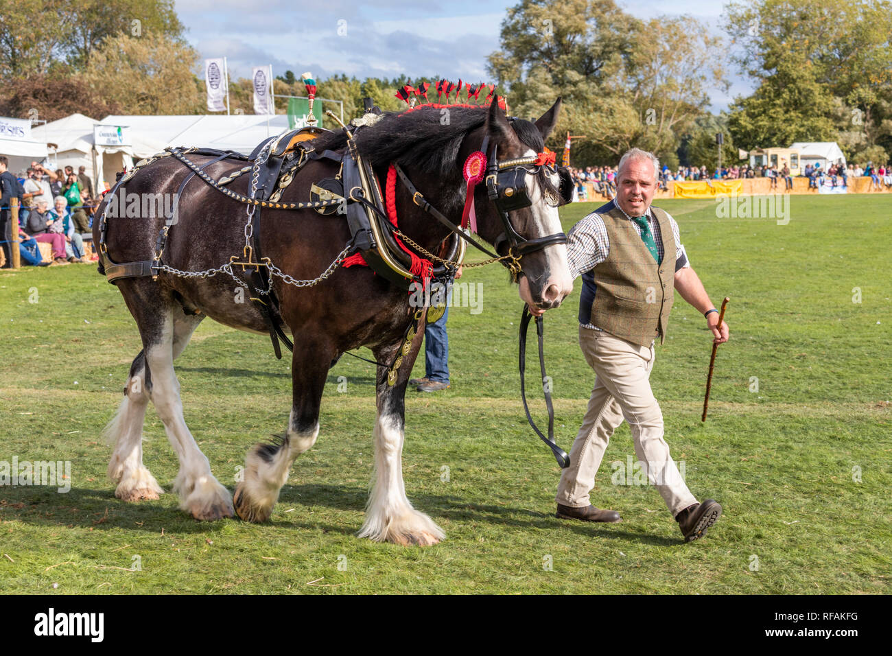Une démonstration de chevaux au panier Frampton Country Fair 2018 tenue à Frampton, Cour Frampton sur Severn, Gloucestershire UK Banque D'Images
