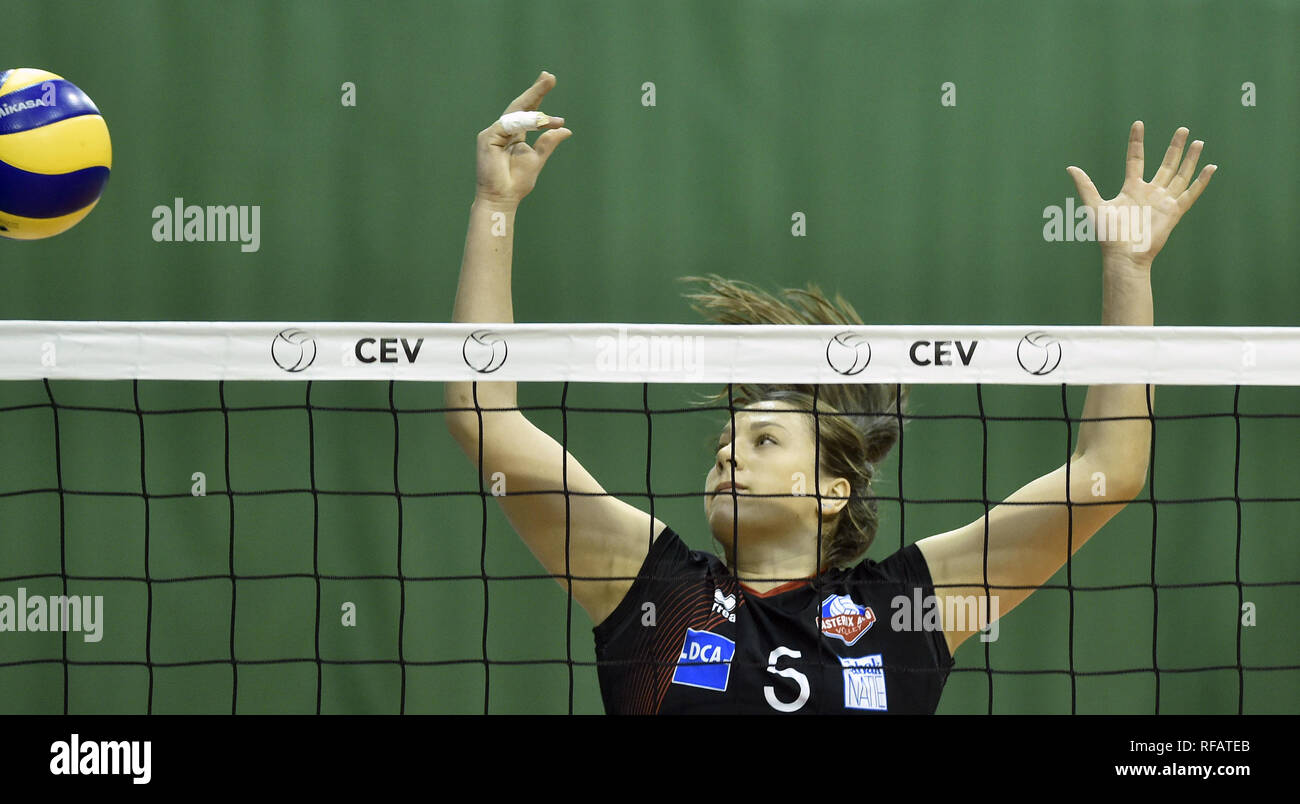 Paula Boonstra (Beveren) en action lors de la 51 édition de la Ligue des Champions de volley-ball tchèque match SK JUSQU'Olomouc vs Astérix Beveren de Belgique à Olomouc, République tchèque, le 24 janvier 2019. (CTK Photo/Ludek Perina) Banque D'Images