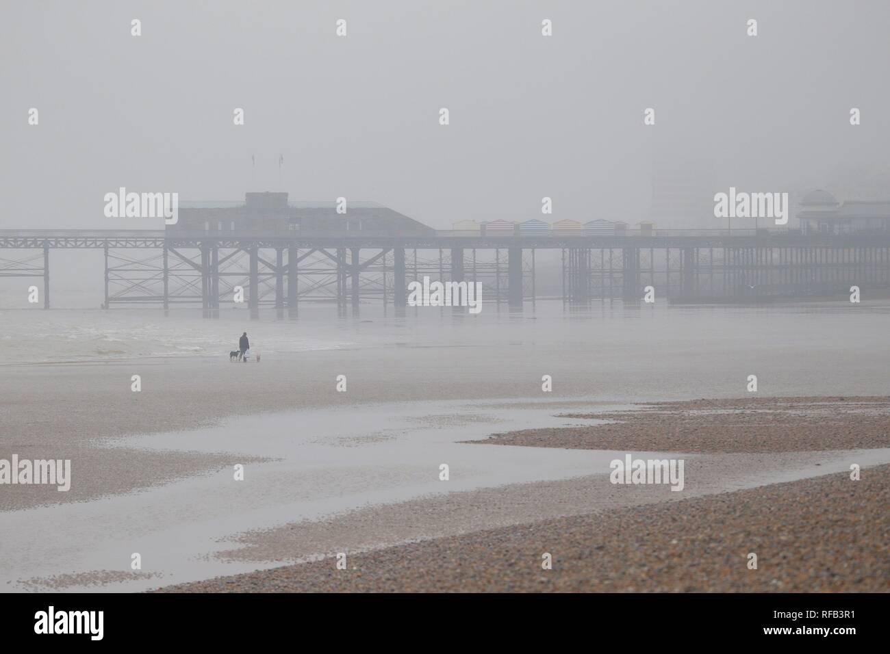 Hastings, East Sussex, UK. 25 Jan, 2019. Météo France : Les précipitations de pluie sont prévues tout au long de la journée à Hastings, East Sussex comme le temps incertain continue. Les gens de Hastings s'est réveillé d'un épais brouillard ce matin, mais pas aussi froid que ces derniers jours. Le Hastings Pier enveloppé dans le brouillard ce matin. © Paul Lawrenson, 2019 Crédit photo : Paul Lawrenson / Alamy Live News Banque D'Images