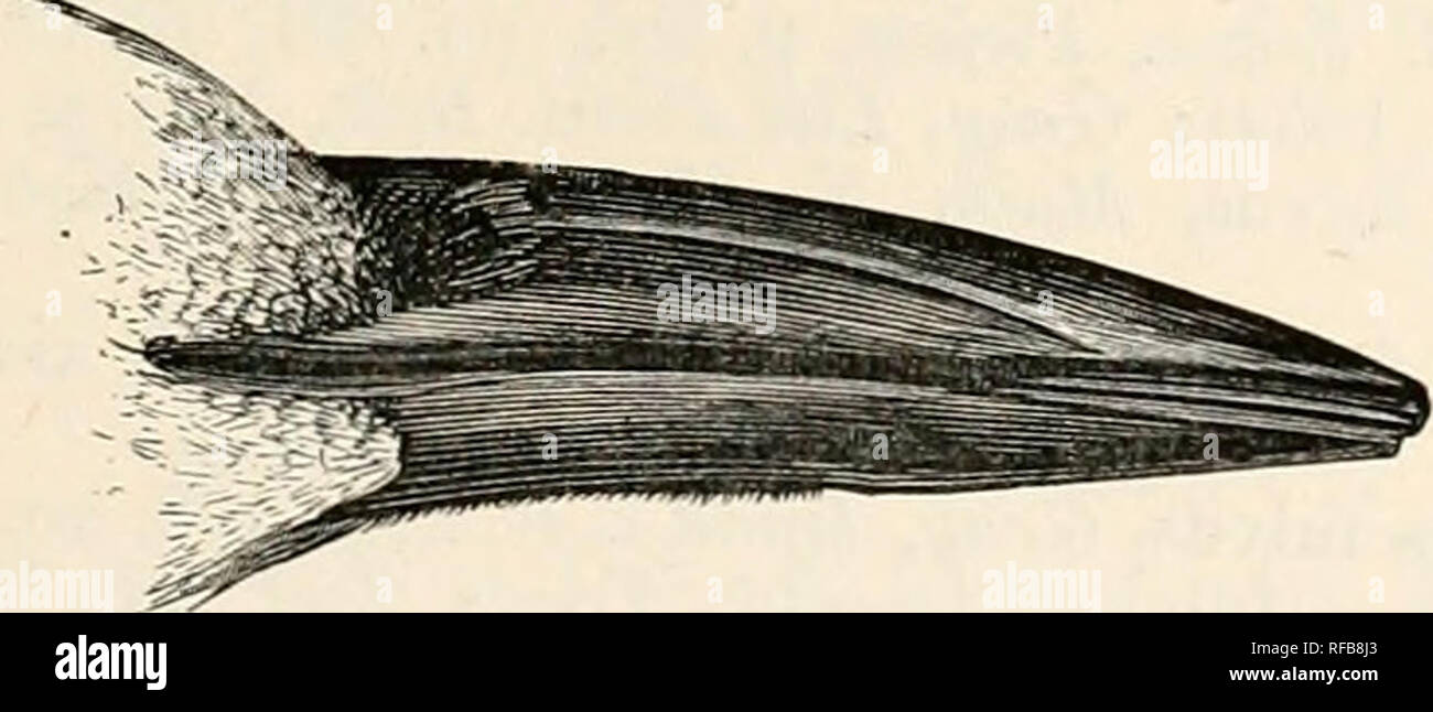 H I Banque D Image Et Photos Page 158 Alamy