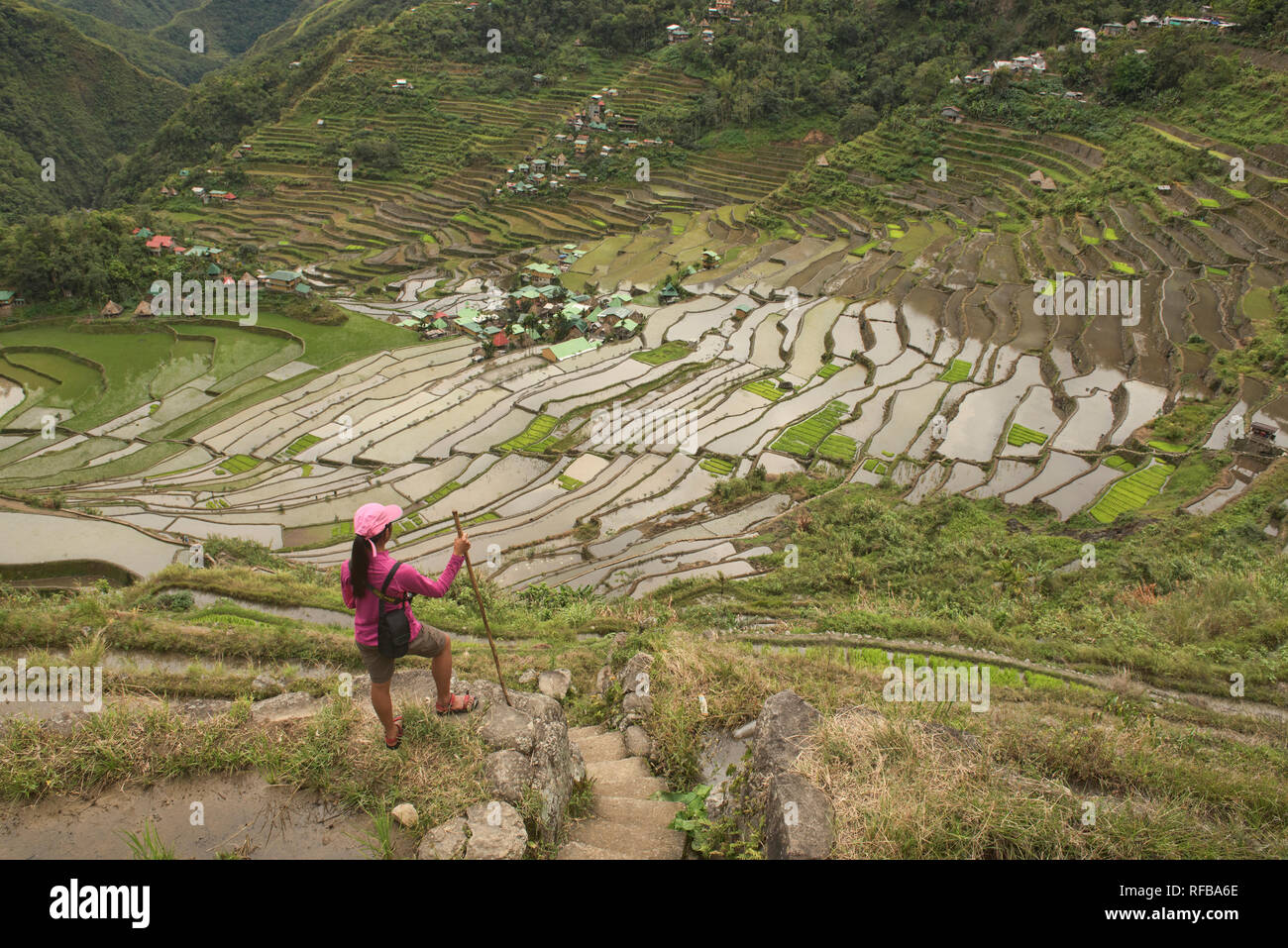 Randonnée à travers les rizières en terrasses de l'UNESCO étonnante, Batad Banaue, Mountain Province, Philippines Banque D'Images