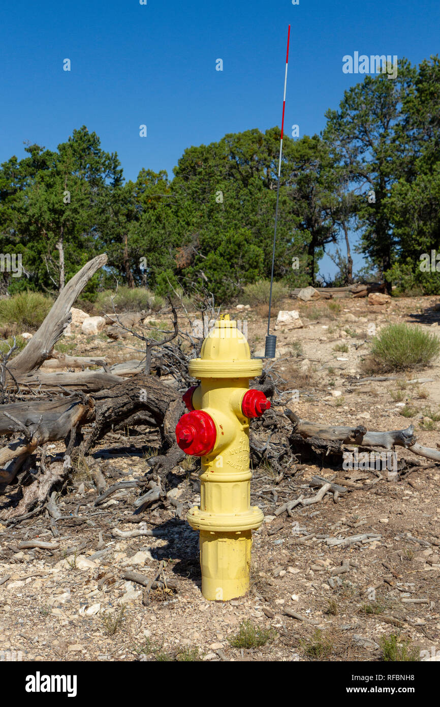 Un poteau incendie jaune dans le village du Grand Canyon, South Rim, le Parc National du Grand Canyon, Arizona, United States. Banque D'Images