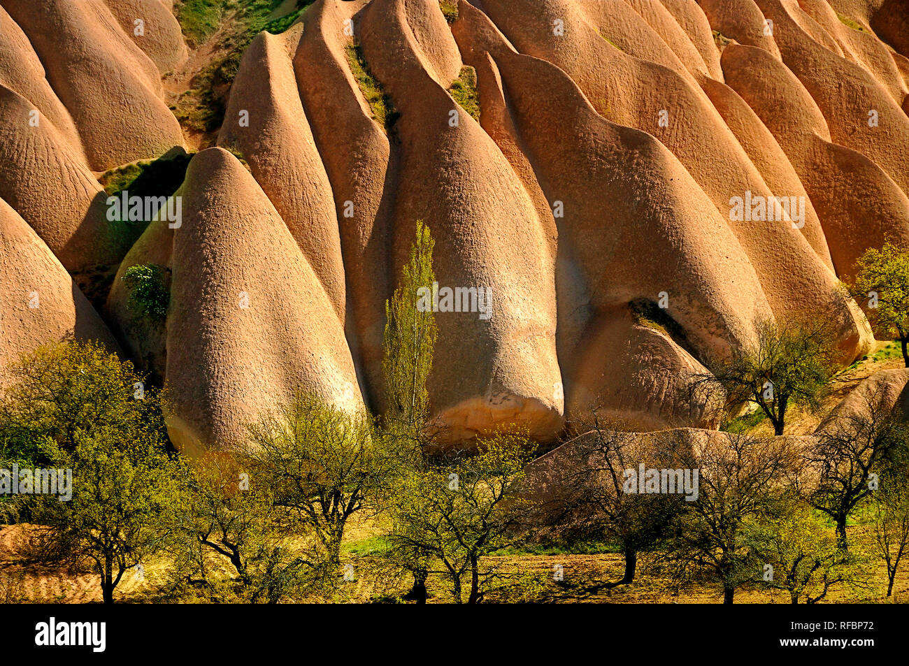 La vallée de l'amour. Cappadoce, Turquie Banque D'Images