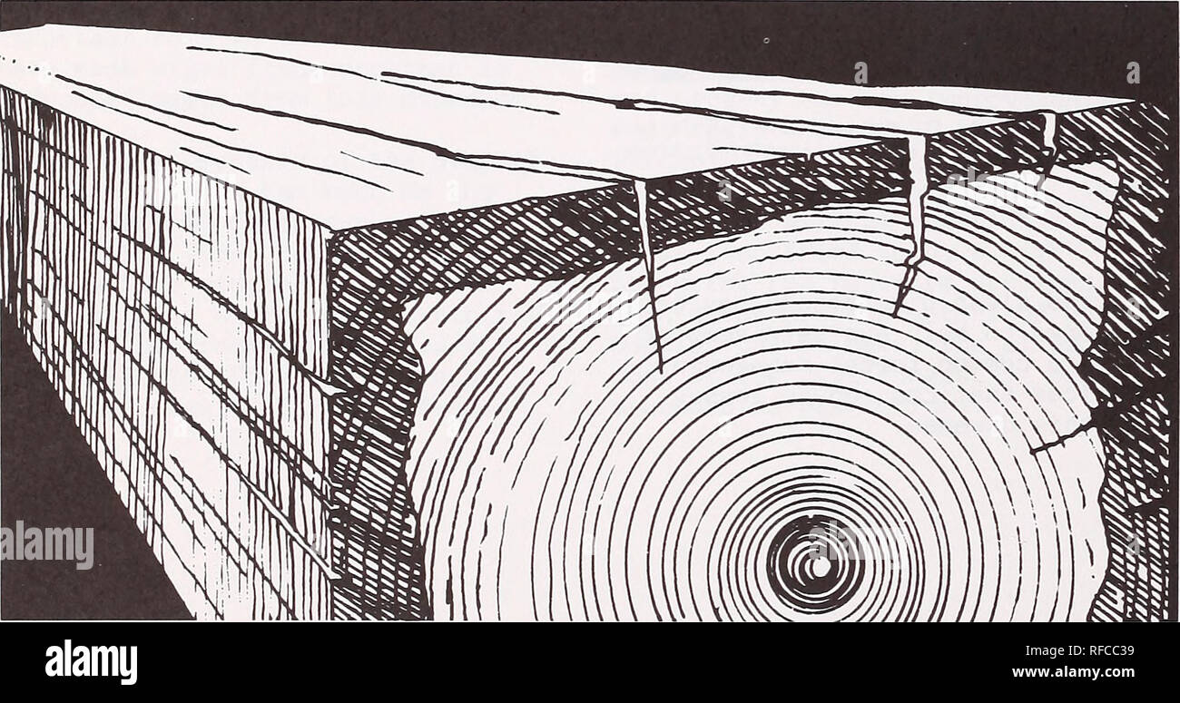 . Protéger et améliorer les forêts et les pâturages de l'Amérique : 1986 Réalisations de recherche. Les forêts et la foresterie United States ; Parcours United States. Les fumigènes lutter contre la pourriture du bois de charpente extérieure peut être utilisable pour des décennies avec des soins appropriés et l'entretien. Ces bois sont traités sous pression habituellement, mais des contrôles d'assaisonnement qui pénètrent dans le shell traités peuvent se développer. Le résultat est la décomposition de l'intérieur et le remplacement prématuré de bois à l'inflation des coûts. Agent de conservation appliquées par l'inondation ordinaire à partir d'un pinceau ou au pistolet pénétrer le bois que légèrement et ne peut donc pas s Banque D'Images