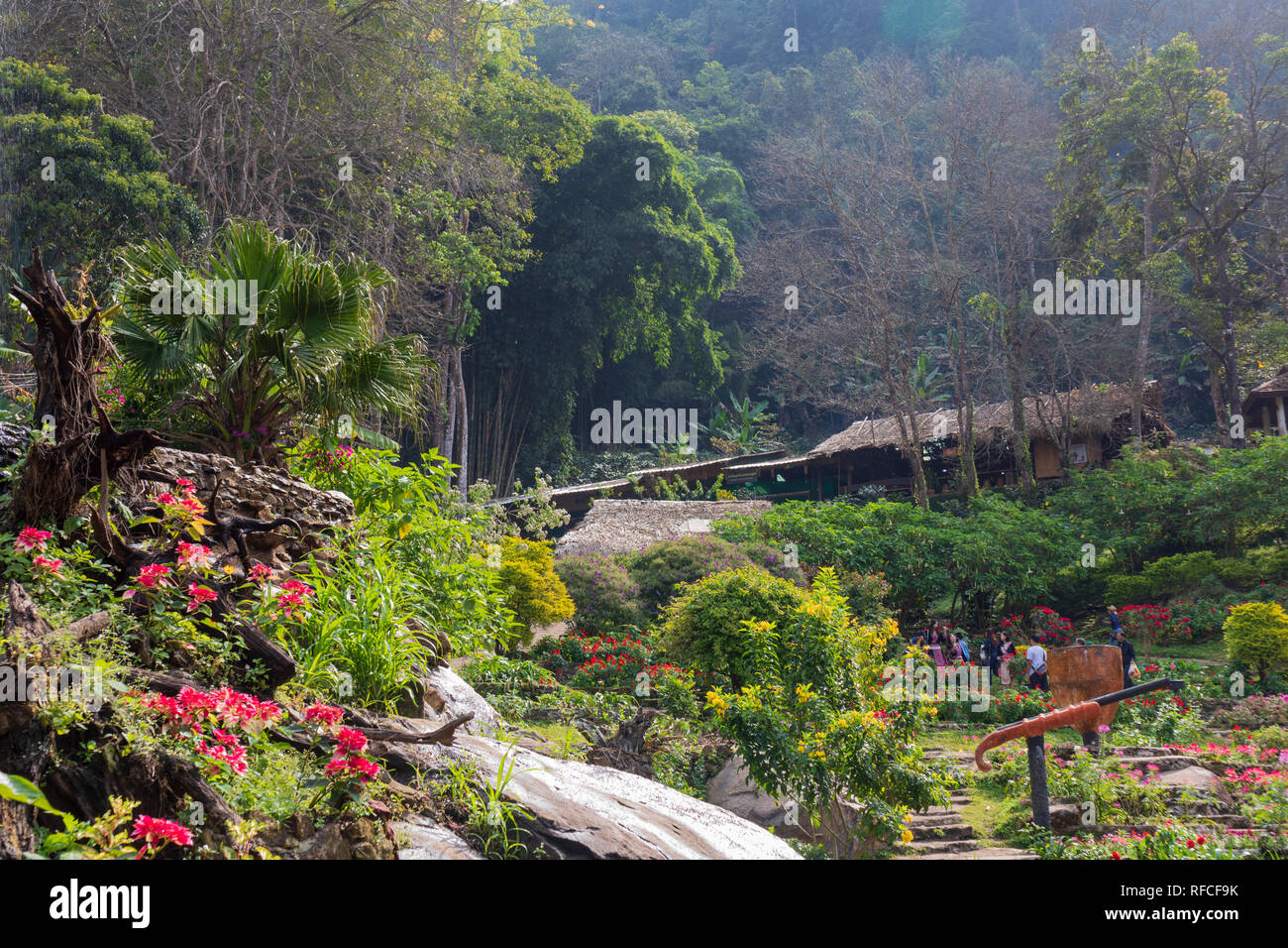 Jardin de village Hmong en Thaïlande. Banque D'Images