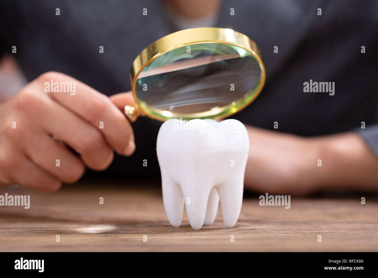 Close-up of a person holding loupe sur la Dent Blanche en bonne santé sur un bureau en bois Banque D'Images