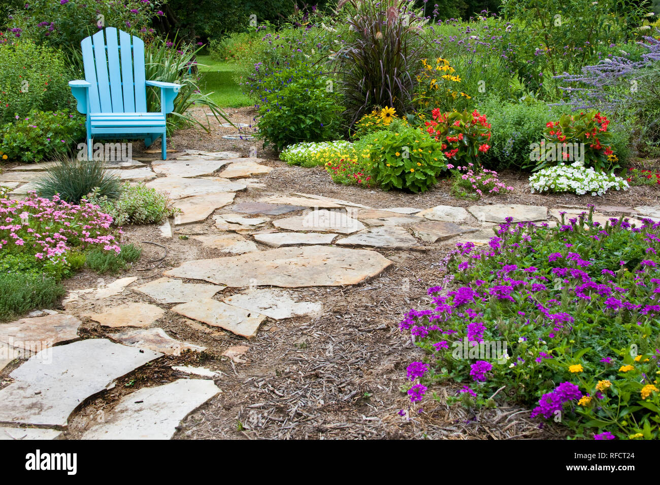 63821-19411 jardin fleuri avec chemin et président bleu. Homestead Purple Verveine, rose, verveine Tapien melampodium, IL Banque D'Images