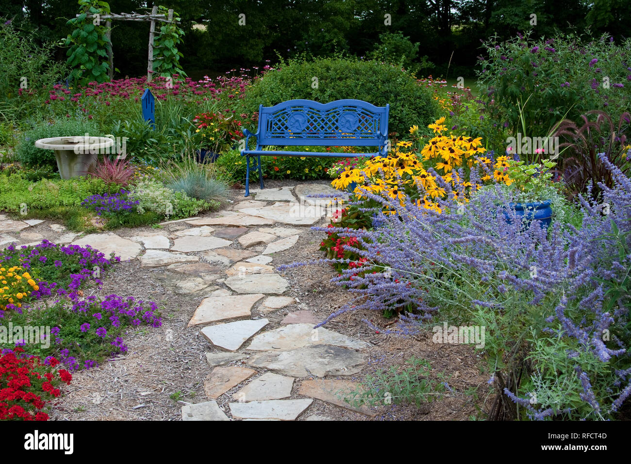 63821-21613 Bleu banc, chemin de pierre, Arbor, butterfly house & bain d'oiseaux dans le jardin de fleurs. Susans black-eyed (Rudbeckia hirta) Red Dragon Wing Begonia Banque D'Images