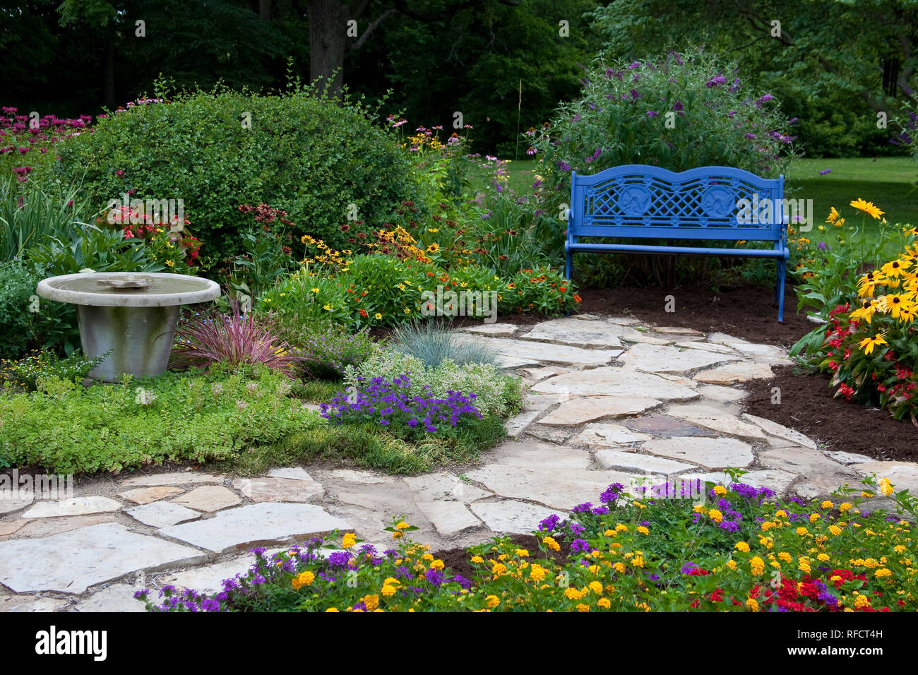 63821-21620 Bleu banc, bain d'oiseaux, et sentier en pierre dans le jardin de fleurs. Susans black-eyed (Rudbeckia hirta) Red Dragon Wing Begonias (Begonia x hybrida) Banque D'Images