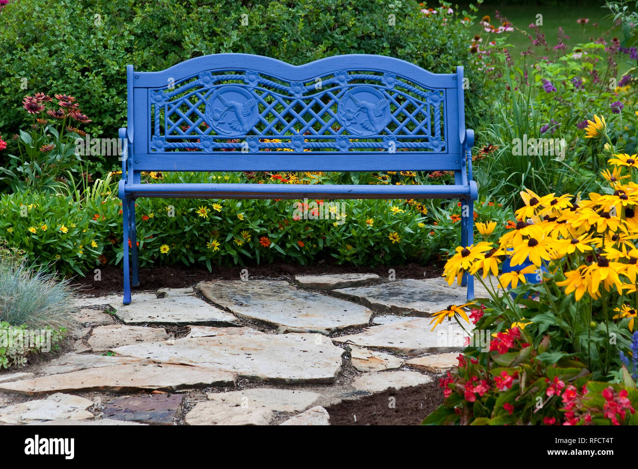63821-21709 Bleu banc,et sentier en pierre dans le jardin de fleurs. Susans black-eyed (Rudbeckia hirta) Red Dragon Wing Begonias (Begonia x hybrida) Zinnias, M Banque D'Images