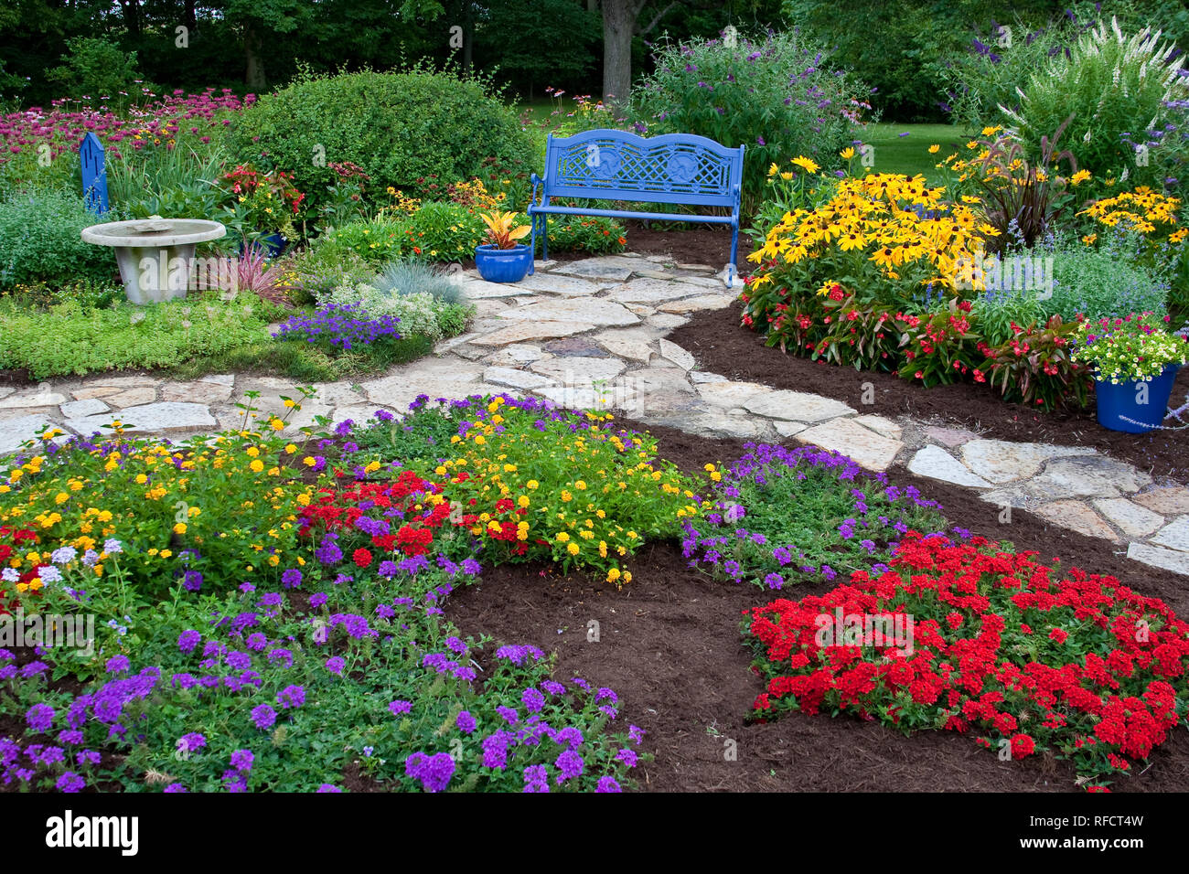 63821-21711 Bleu banc, bain d'oiseaux, papillons, bleu pots, et chemin de pierre dans le jardin de fleurs. Susans black-eyed (Rudbeckia hirta) Red dragon Aile B Banque D'Images