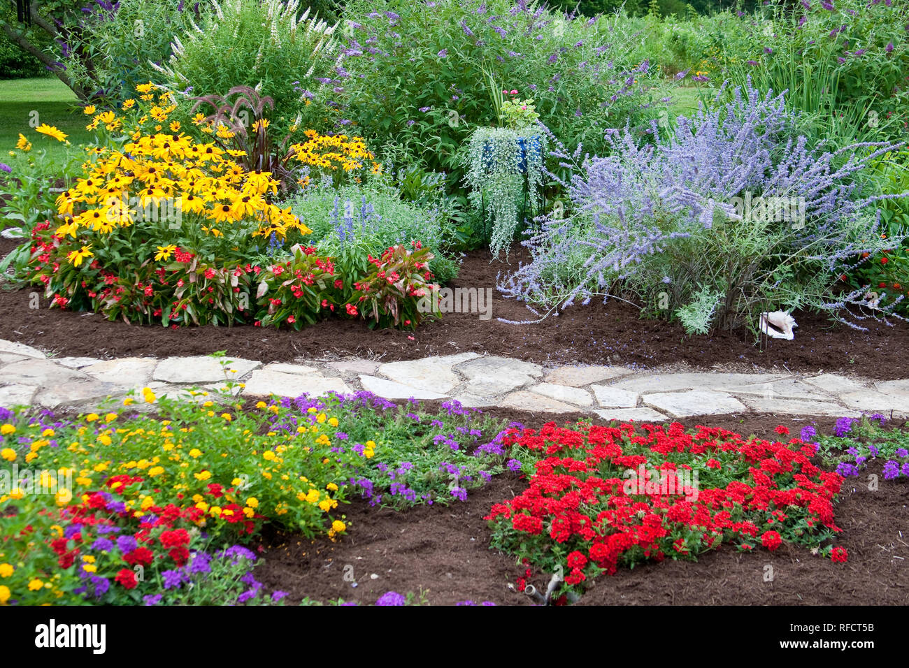 Jardin avec fleurs 63821-21810 chemin de pierre, Homestead Purple Verveine (Verbena canadensis), la verveine rouge, nouvel or Lantana (Lantana camara) Butterfly Bu Banque D'Images