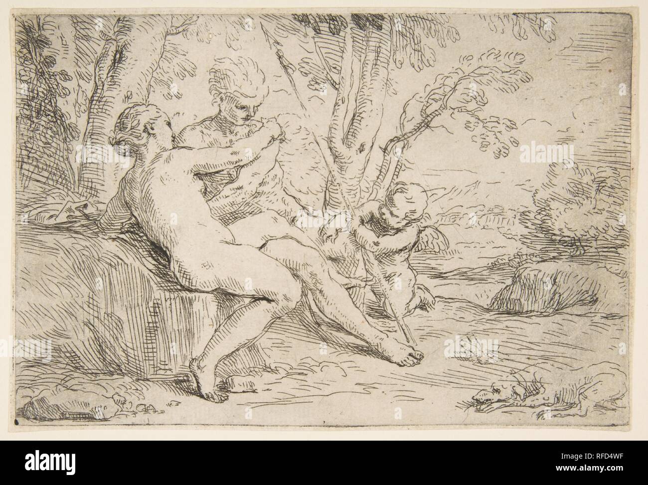 Vénus et Adonis. Artiste : Simone Cantarini (italien, 1612-1648). Fiche Technique : Dimensions : 4 × 5/8 6 7/8 in. (11,8 × 17,4 cm). Date : ca. 1637-1639. Musée : Metropolitan Museum of Art, New York, USA. Banque D'Images