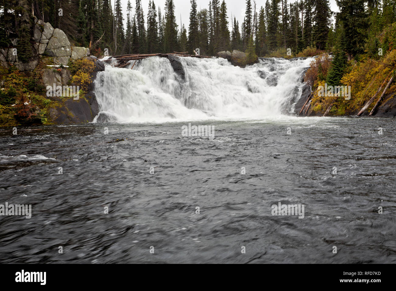 WY02936-00...WYOMING - Lewis Falls sur la rivière Lewis dans le Parc National de Yellowstone. Banque D'Images