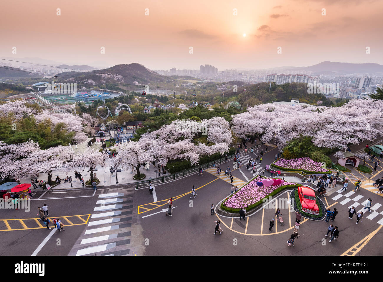 Coucher du soleil de l'E-World theme park et Daegu City au printemps. Banque D'Images