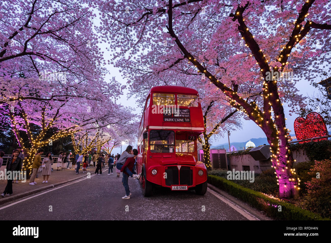 Belle vue de la nuit de Cherry Blossom Festival à Daegu E-World Banque D'Images