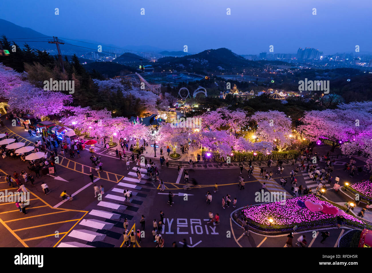 Vue de la nuit de Cherry Blossom Festival à Daegu E-World. Banque D'Images