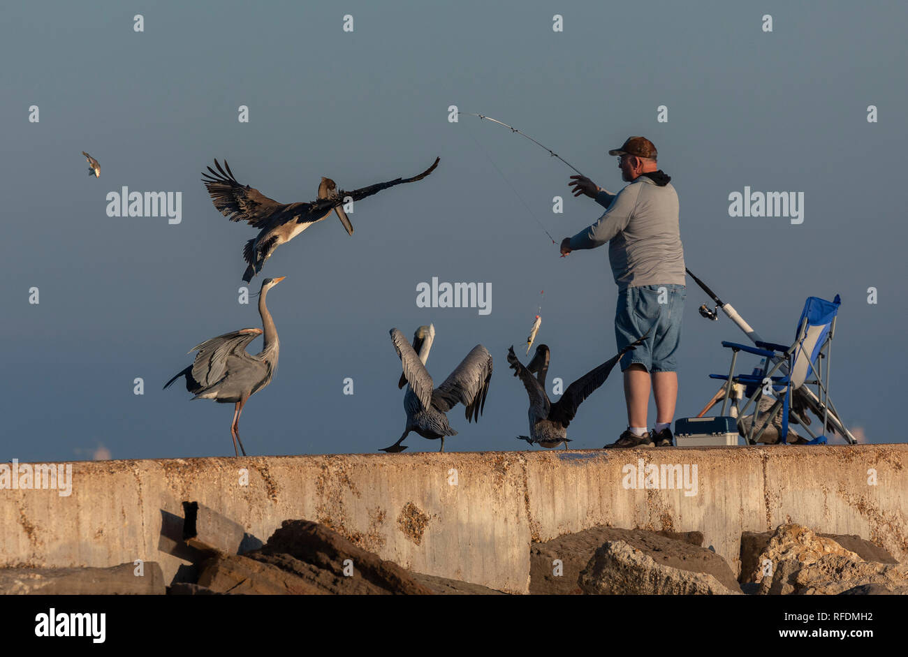 Gratuit Images Humour Blague Photos Humour Blague Images Alamy dernière salutations