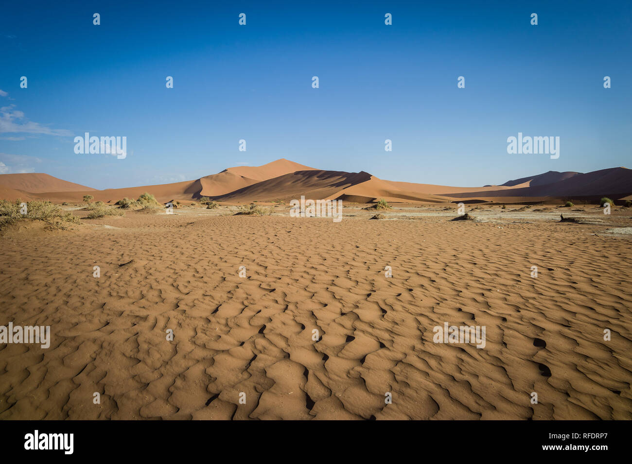 Les dunes d'un autre monde et les paysages désertiques de Namib-Naukluft National Park faire une belle journée de voyage de Sesriem camp sur le bord du Namib Banque D'Images