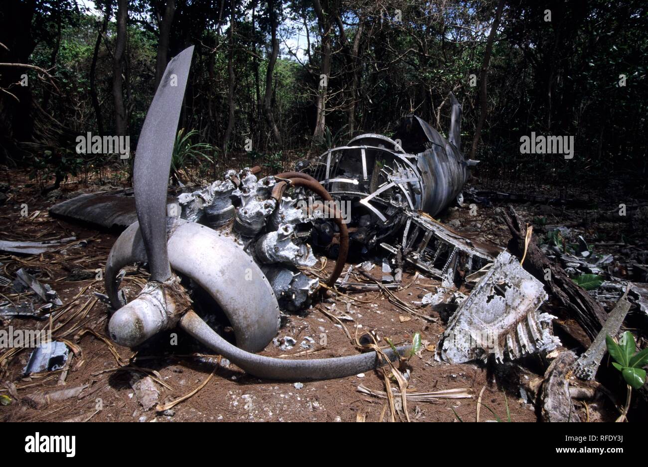 L'épave d'un avion militaire abattu de la guerre mondiale 2, Palau, Micronésie Banque D'Images