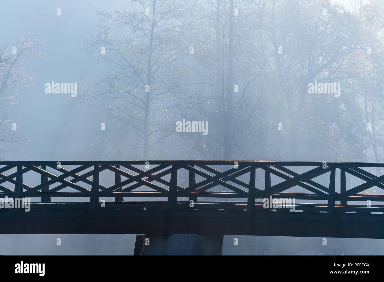 Brouillard sur pont en bois dans les bois. Froid brumeux matin d'automne dans la forêt Banque D'Images