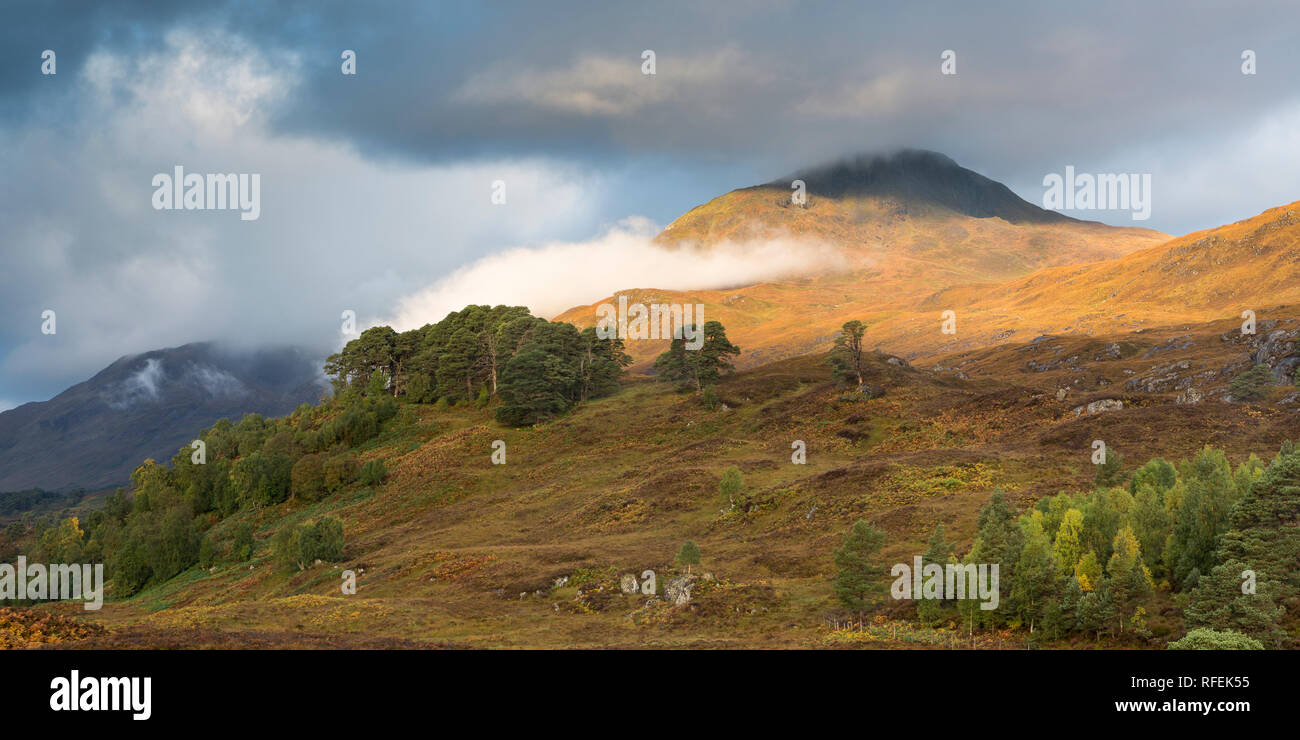 Brise soleil matinal sur Sgurr na Lapaich, Glen Affric, Ecosse Banque D'Images