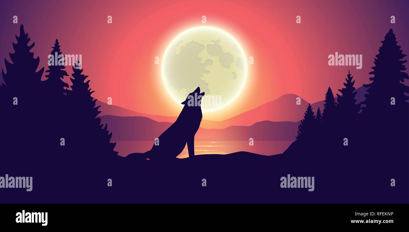 Loup qui hurle à la lune Banque d'images vectorielles - Alamy