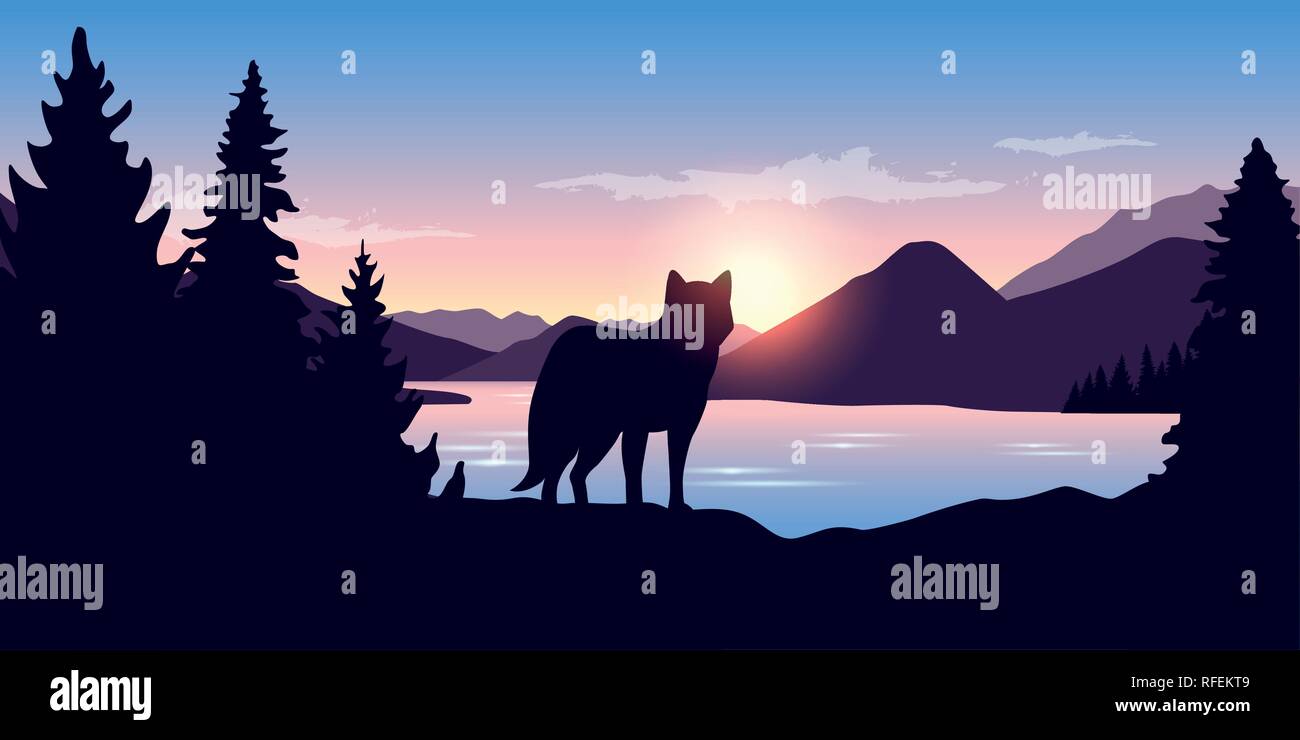 Wolf se penche sur la distance du paysage de montagne au lever du soleil dans les couleurs violet vector illustration EPS10 Illustration de Vecteur