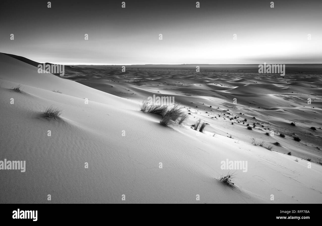 Dunes de sable au lever du soleil, photo en noir et blanc, de l'Erg Chebbi, Merzouga, Sahara, Maroc Banque D'Images