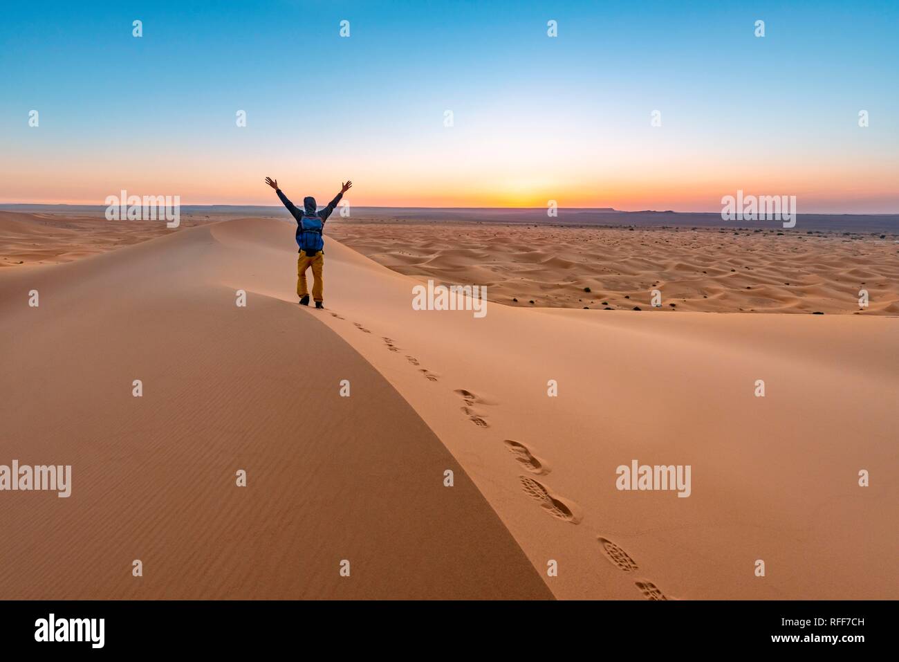 Jeune homme étire ses bras en l'air, dune de sable au lever du soleil, de l'Erg Chebbi, Merzouga, Sahara, Maroc Banque D'Images