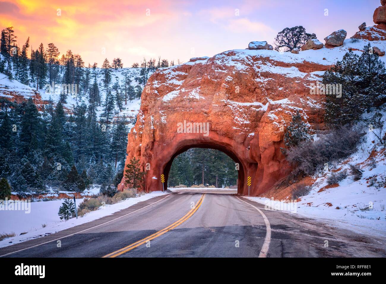 Route avec un tunnel à travers le red rock arch dans la neige, au coucher du soleil, l'autoroute 12, de rochers de grès, Red Canyon, Panguitch, Utah, USA Banque D'Images