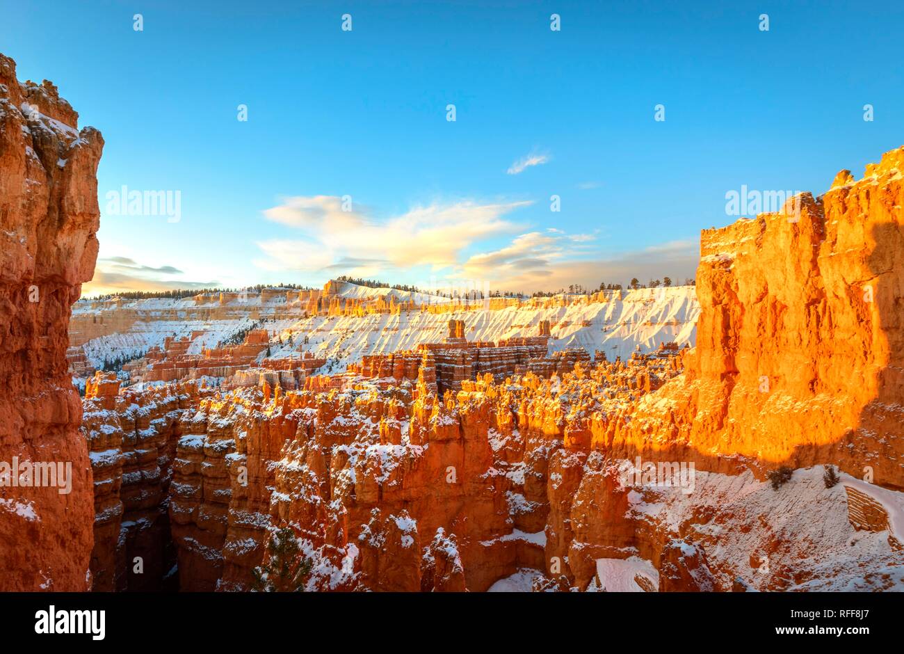 Amphithéâtre dans la lumière du matin, bizarre couverte de neige paysage rocheux avec cheminées en hiver, Navajo Loop Trail Banque D'Images