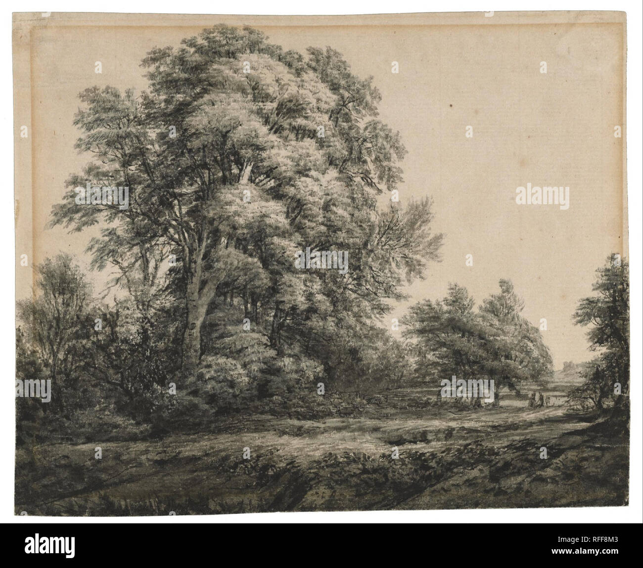 Paysage de forêt. Date/Période : 1836/1850. Laver et d'encre sur papier vergé. Largeur : 33 cm. Hauteur : 29,2 cm (avec cadre). Auteur : Edward Lear. Banque D'Images