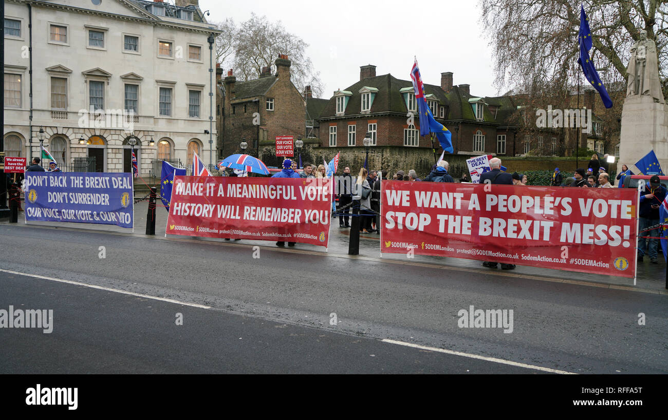 Londres, Angleterre, 16 Jan 2019. Brexit debout à l'extérieur de manifestants Parlement britannique. Banque D'Images