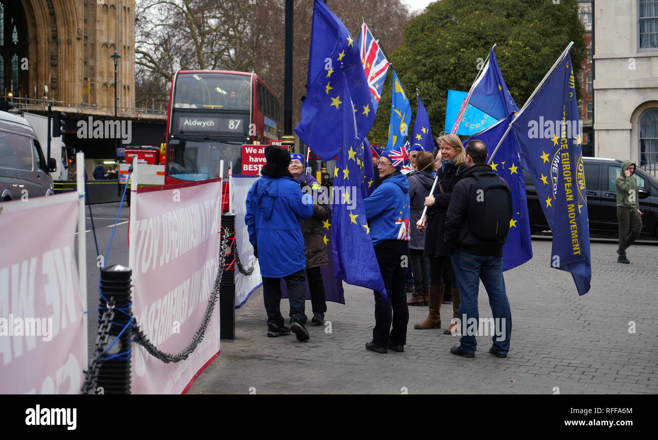 Londres, Angleterre, 16 Jan 2019. Brexit debout à l'extérieur de manifestants Parlement britannique. Banque D'Images