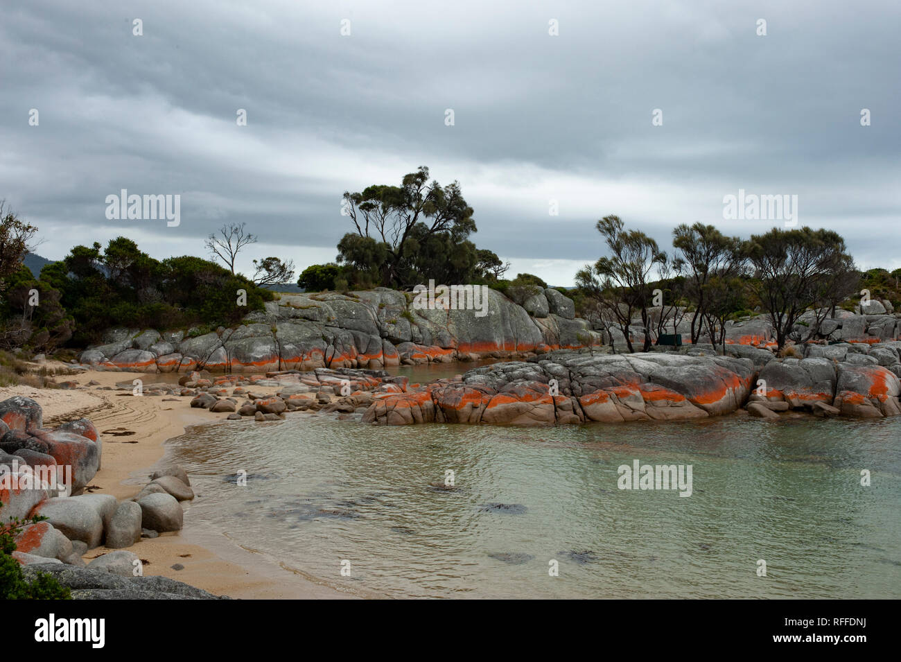 Bay of Fires, Tasmanie, Australie Banque D'Images