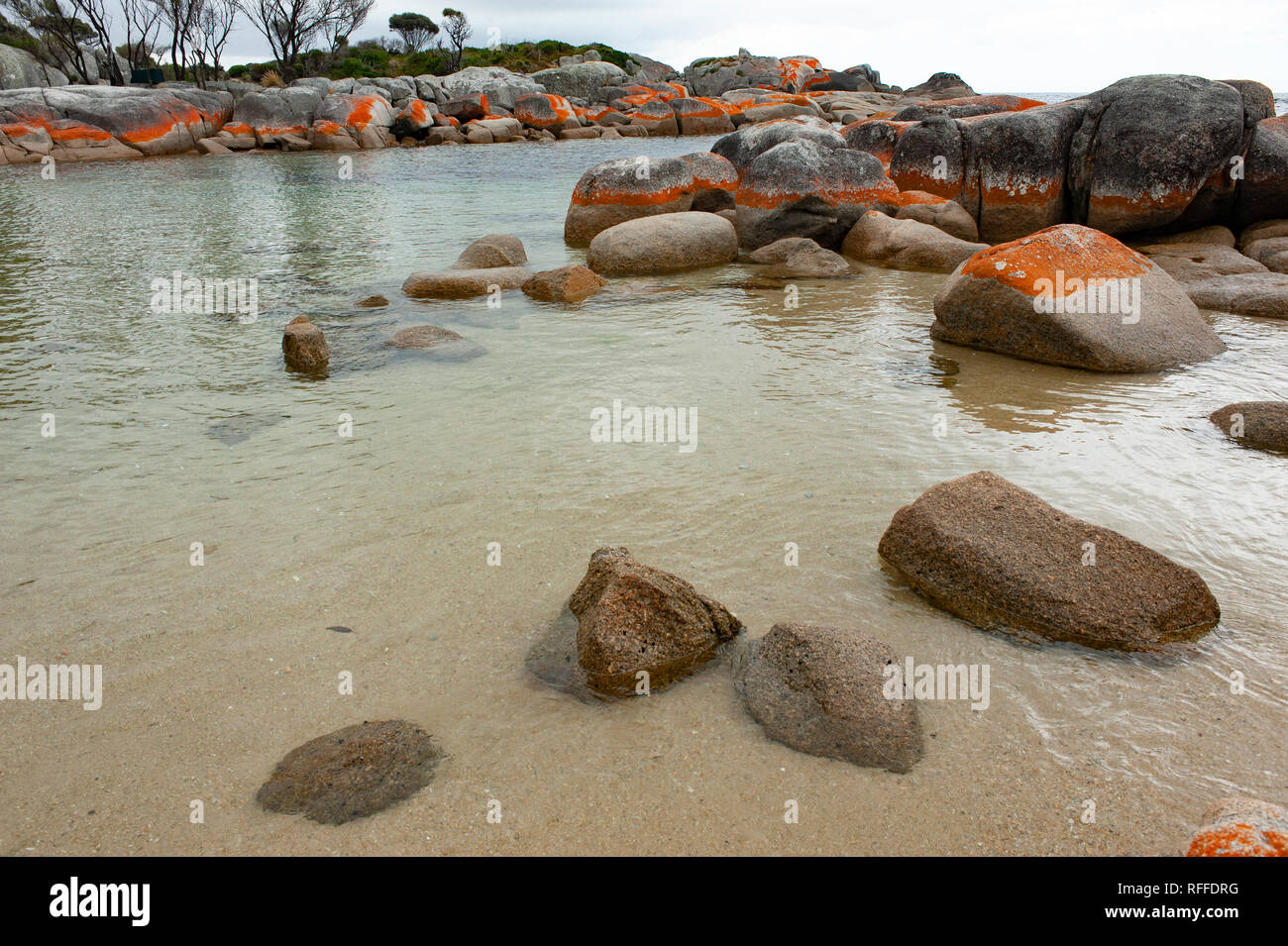 Bay of Fires, Tasmanie, Australie Banque D'Images