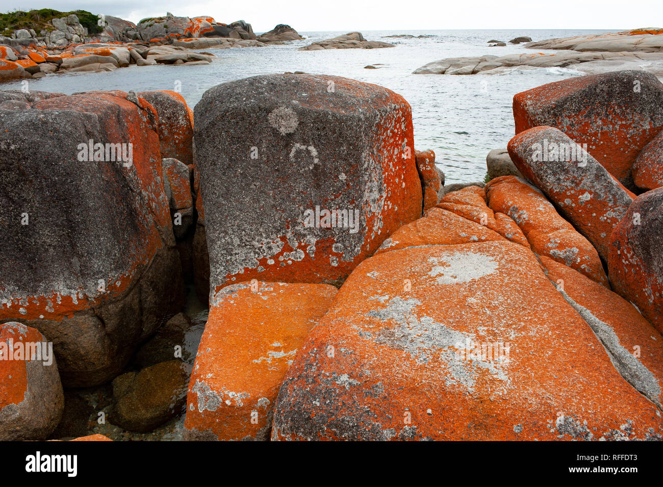 Bay of Fires, Tasmanie, Australie Banque D'Images