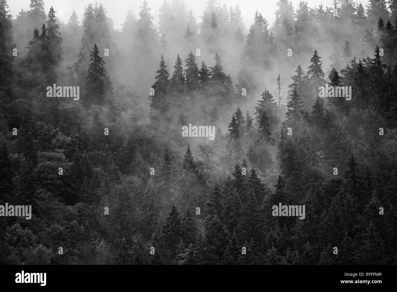 Misty Mountain Landscape Banque D'Images