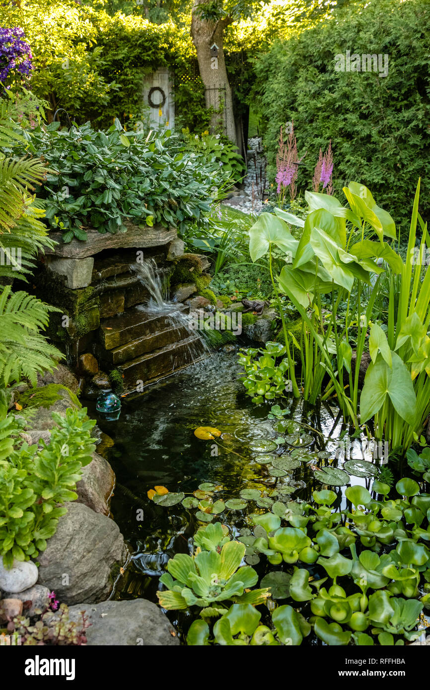 Scène jardin luxuriant avec de l'eau l'automne et l'étang Photo Stock -  Alamy