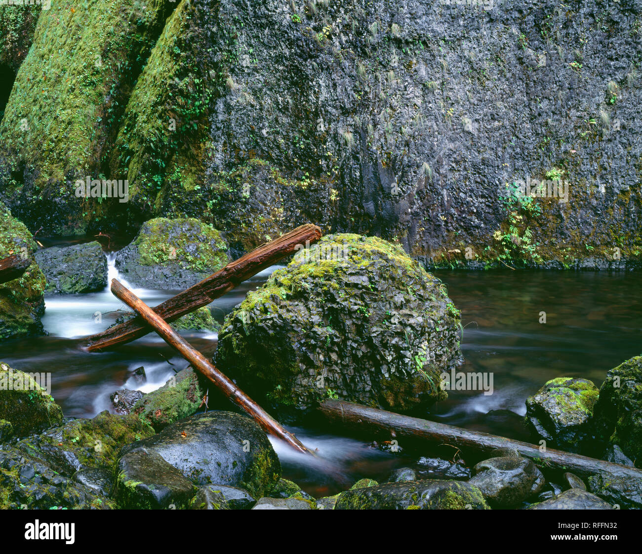 USA, New York, Columbia River Gorge National Scenic Area, des roches basaltiques et les grosses billes le long de Tanner Creek. Banque D'Images