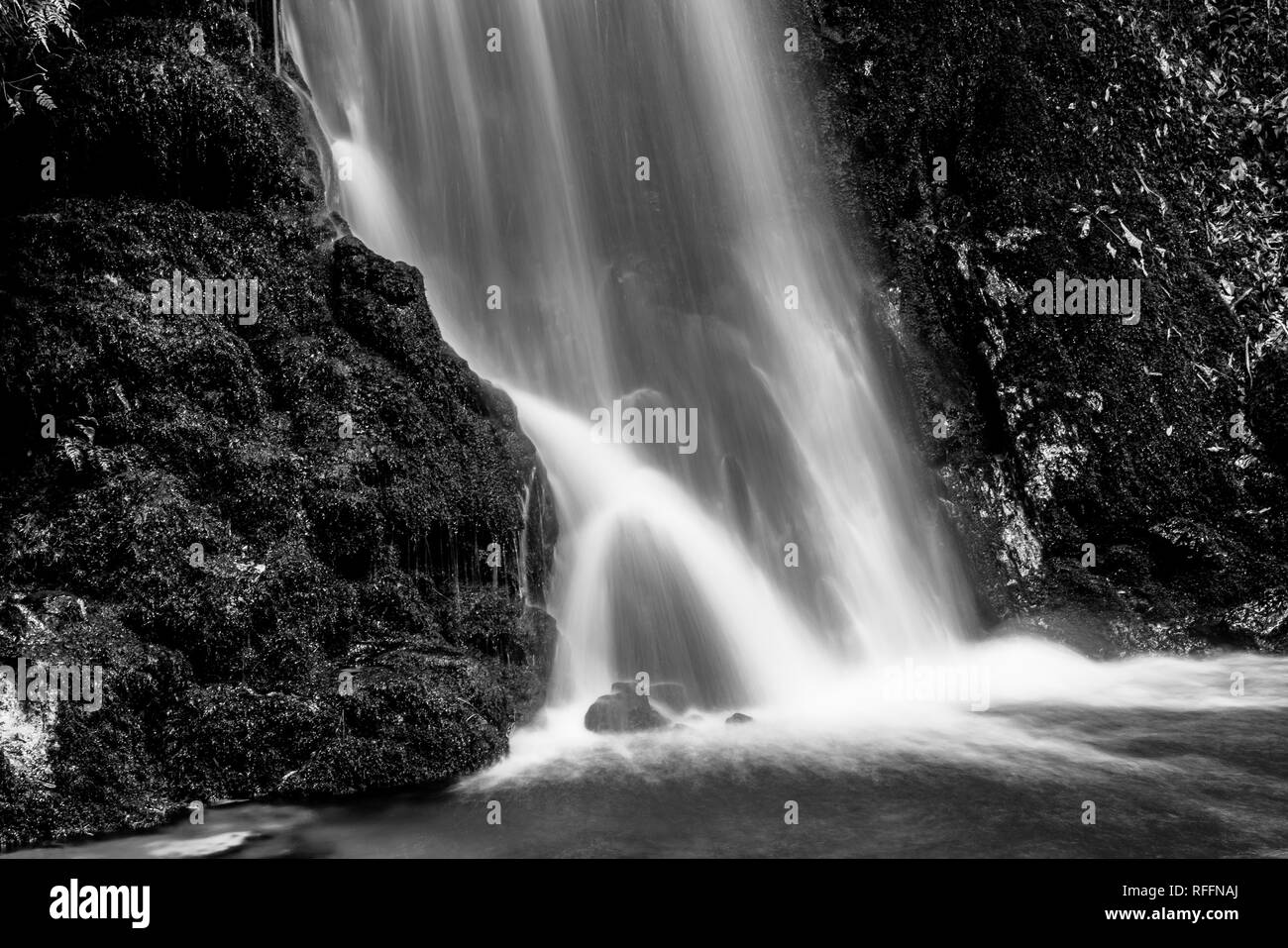 Cascade de Mc Laren Falls Park en longue exposition effet lissé Banque D'Images