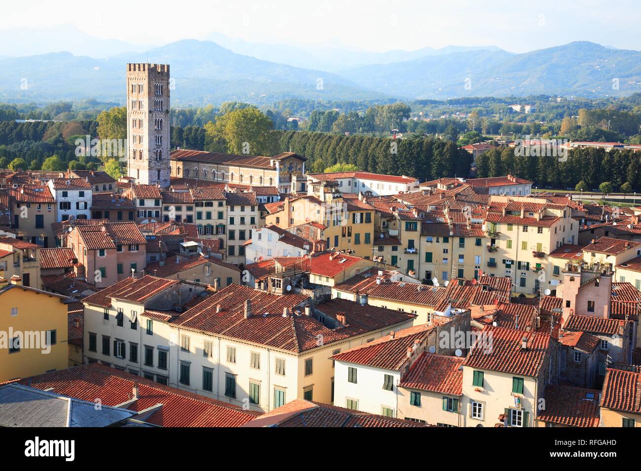 Le Campanile, San Frediano, Lucca, Toscane, Italie Banque D'Images